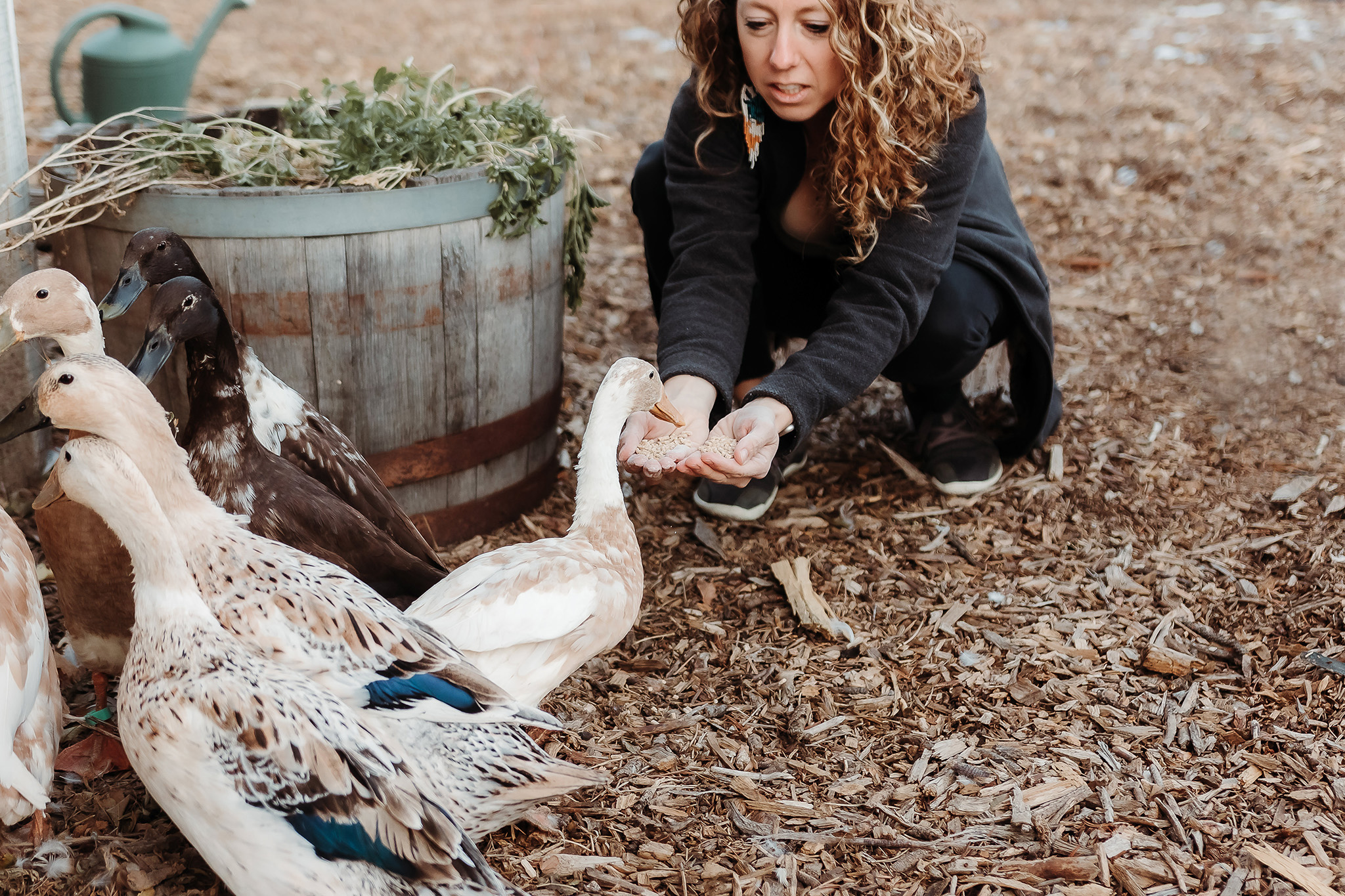 woman crouches down, feeding backyard ducks some food in her hands