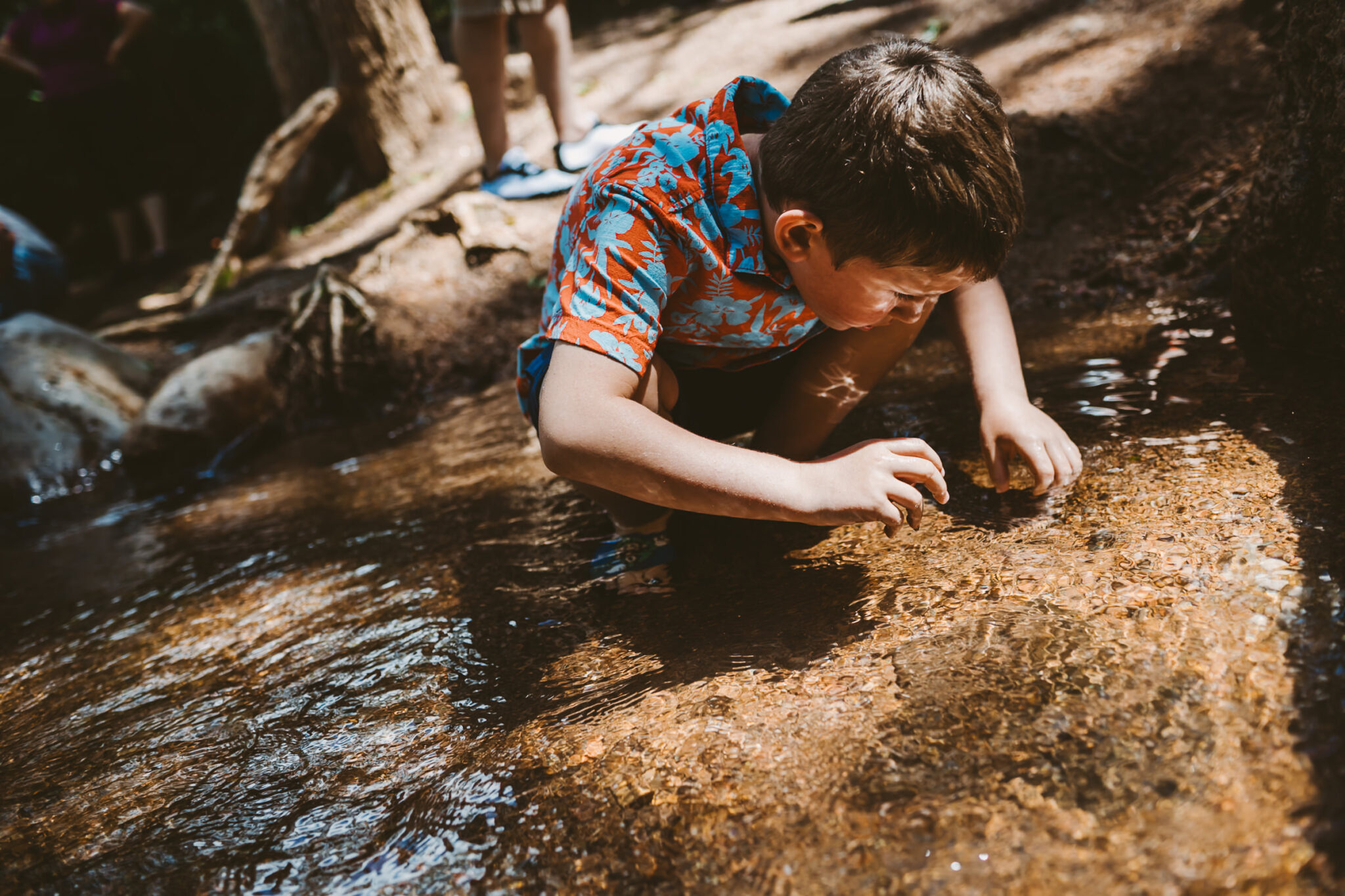 young boy playing in creek panning for gold with light reflecting onto his face