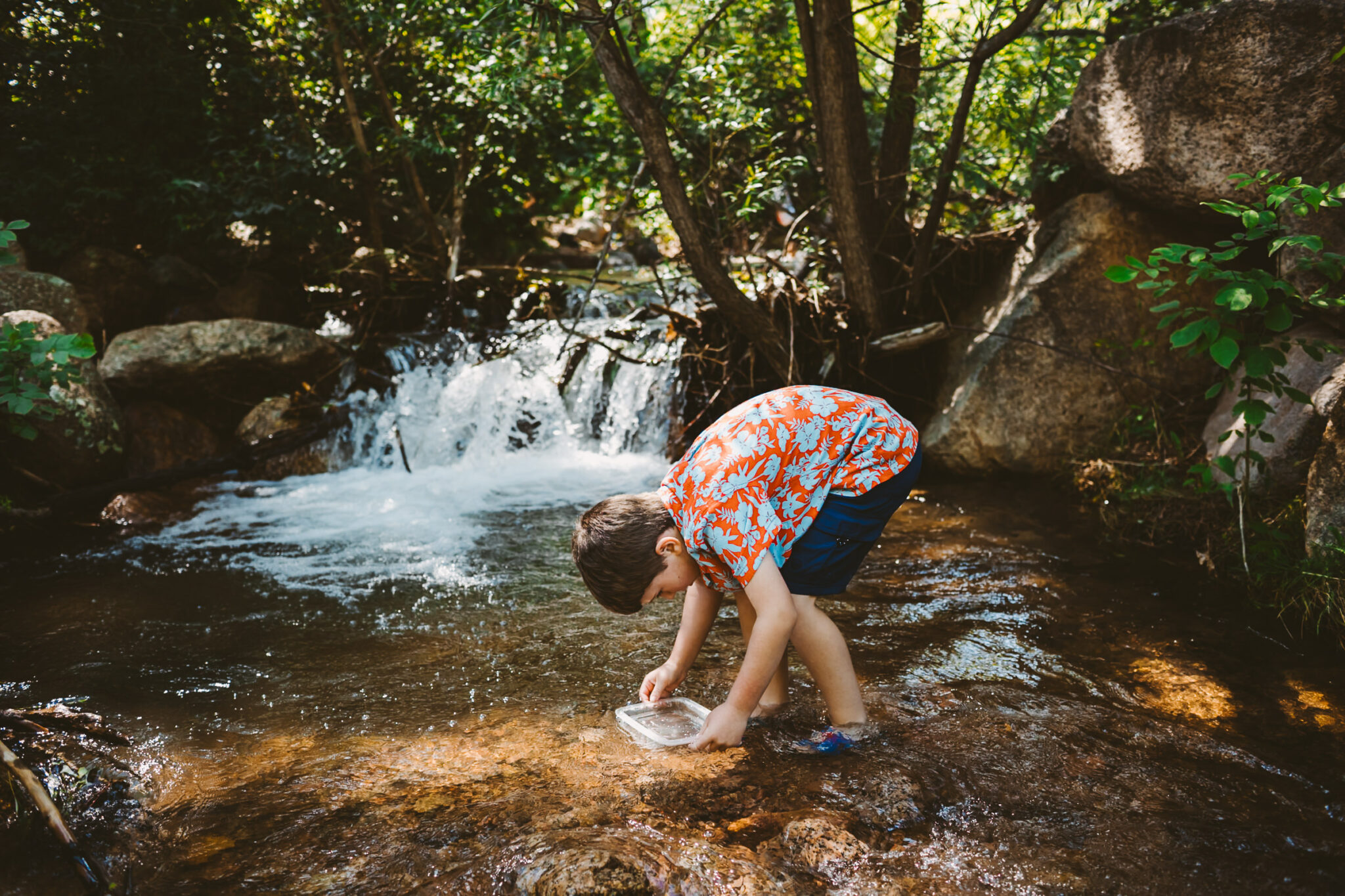 young boy panning for gold in colorado creek