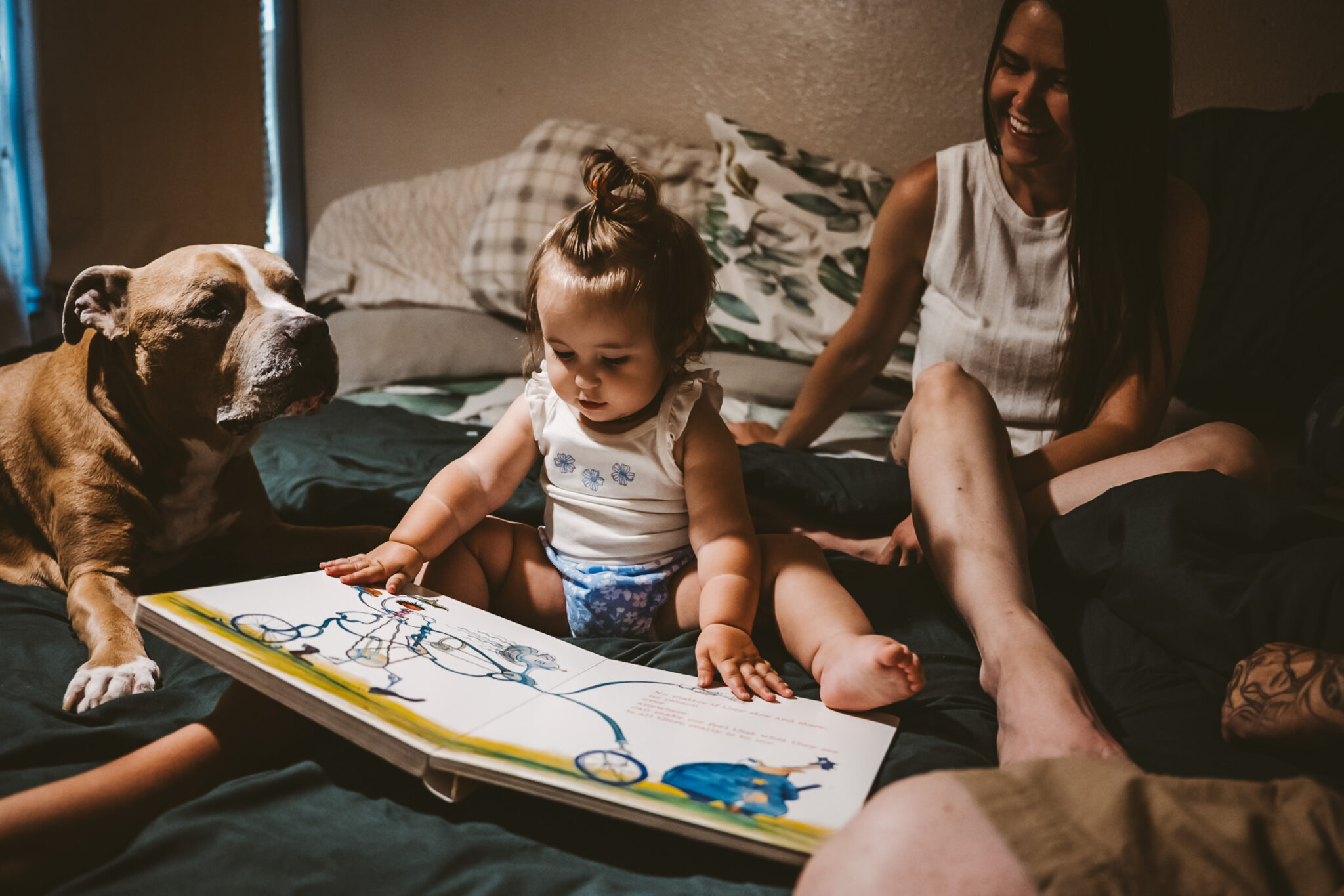 toddler reads a book to pitbull dog on bed in bedroom